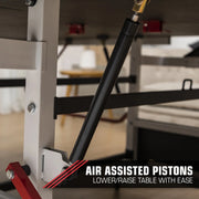 Pro Piston Official Size Indoor 18Mm Table Tennis Table